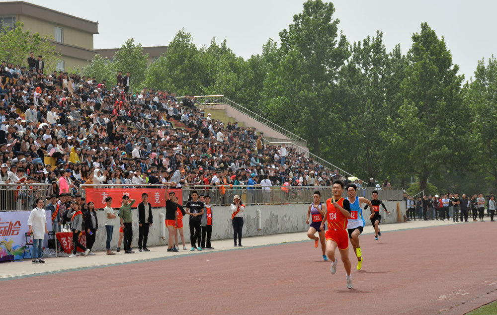 运动会3123.jpg