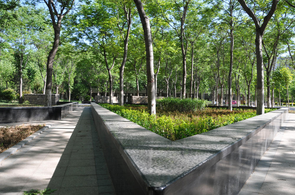 风景1.jpg