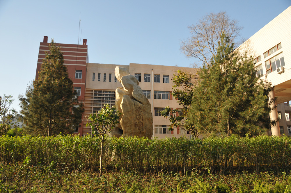 DSC_5287.JPG
